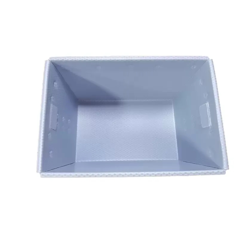 Wholesale Waterproof Foldable Customized Thickness 2-12mm PP Coroplast Plastic Carton Box Container